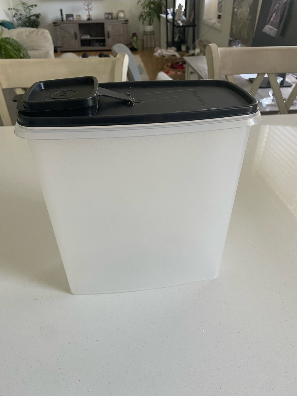 Food Storage Container with Flip-Top Lid - White and Black